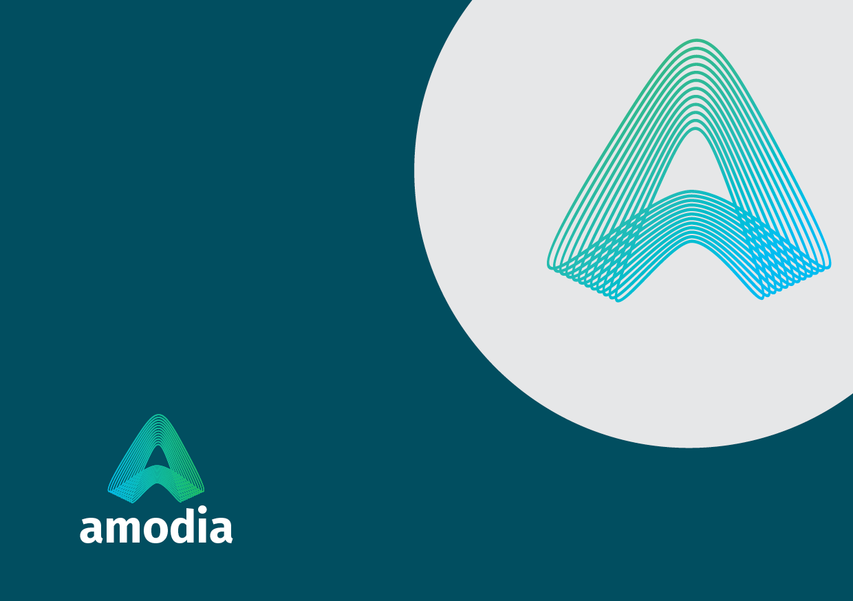 Charte Graphique Amodia12